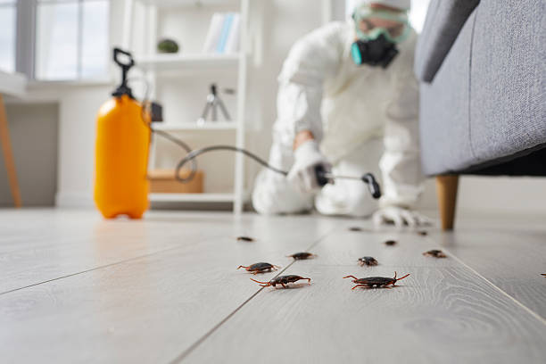 Trusted Cockroach Control service in Village of Oak Creek, AZ - Nex Pest Control
