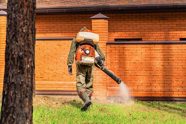Trusted Rodent Control service in Village of Oak Creek, AZ - Nex Pest Control